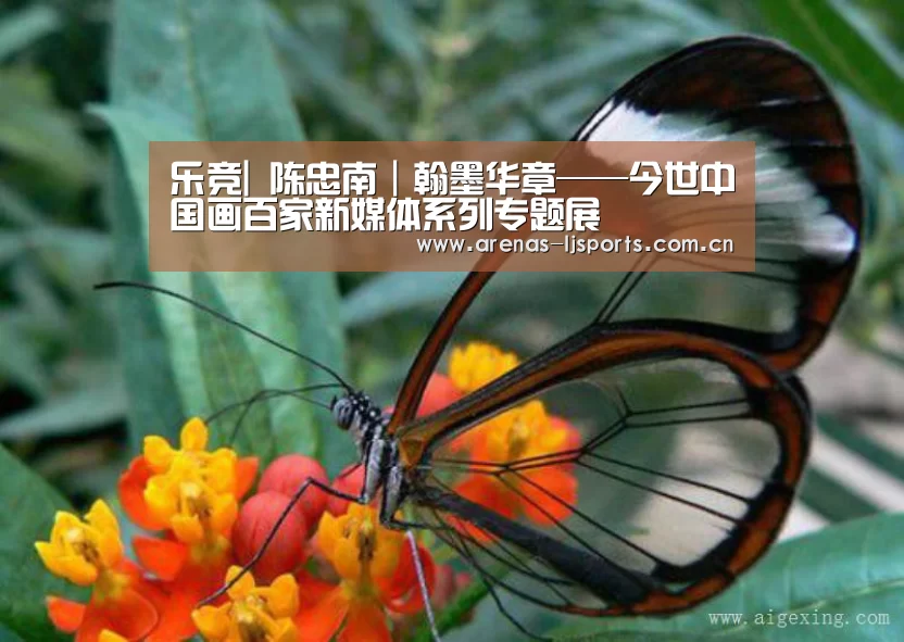 乐竞|
陈忠南|翰墨华章——今世中国画百家新媒体系列专题展(图3) 乐竞俱乐部