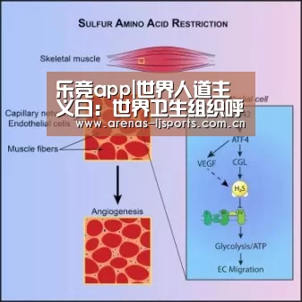 乐竞app|世界人道主义日:世界卫生组织呼吁加强针对卫生工作者的安全保护(图2) 乐竞俱乐部